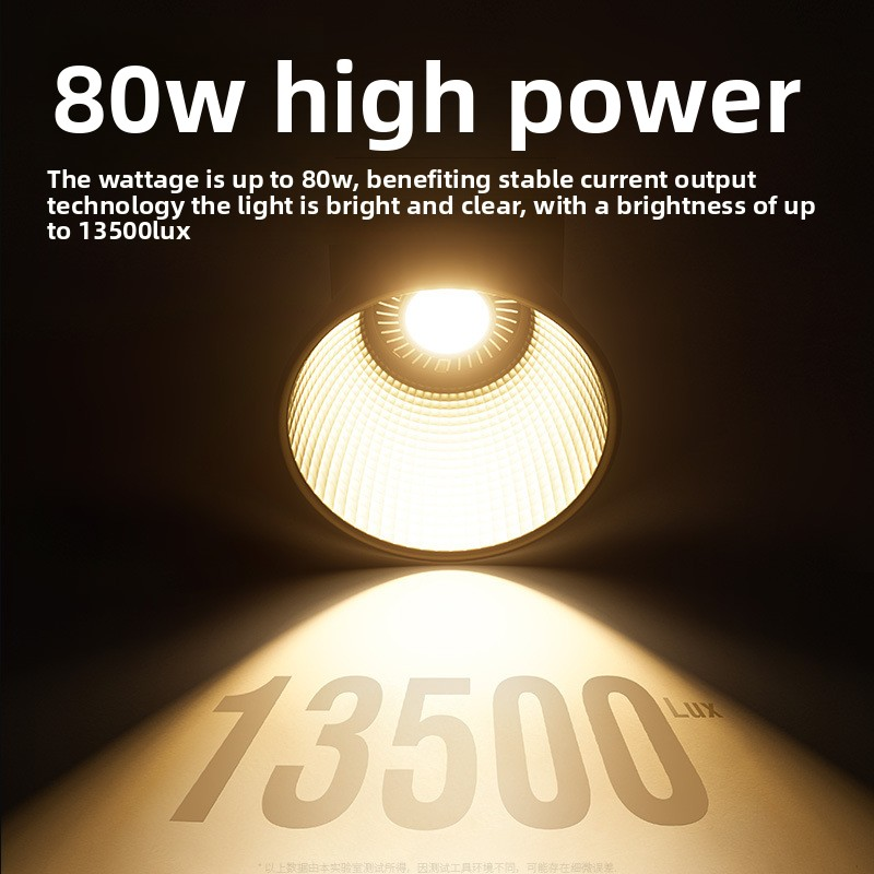 ZU80 80w Handheld Exterior Lam - Photography Lighting Lamp recensione e prezzo