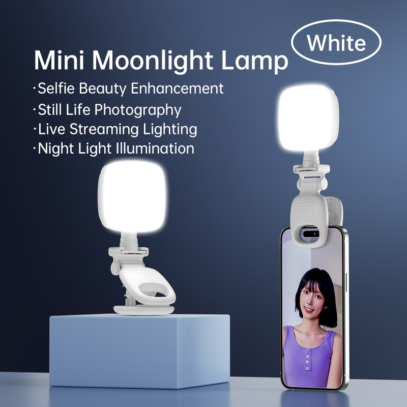 Portable LED Selfie Light Came - Photography Lightning recensione e prezzo