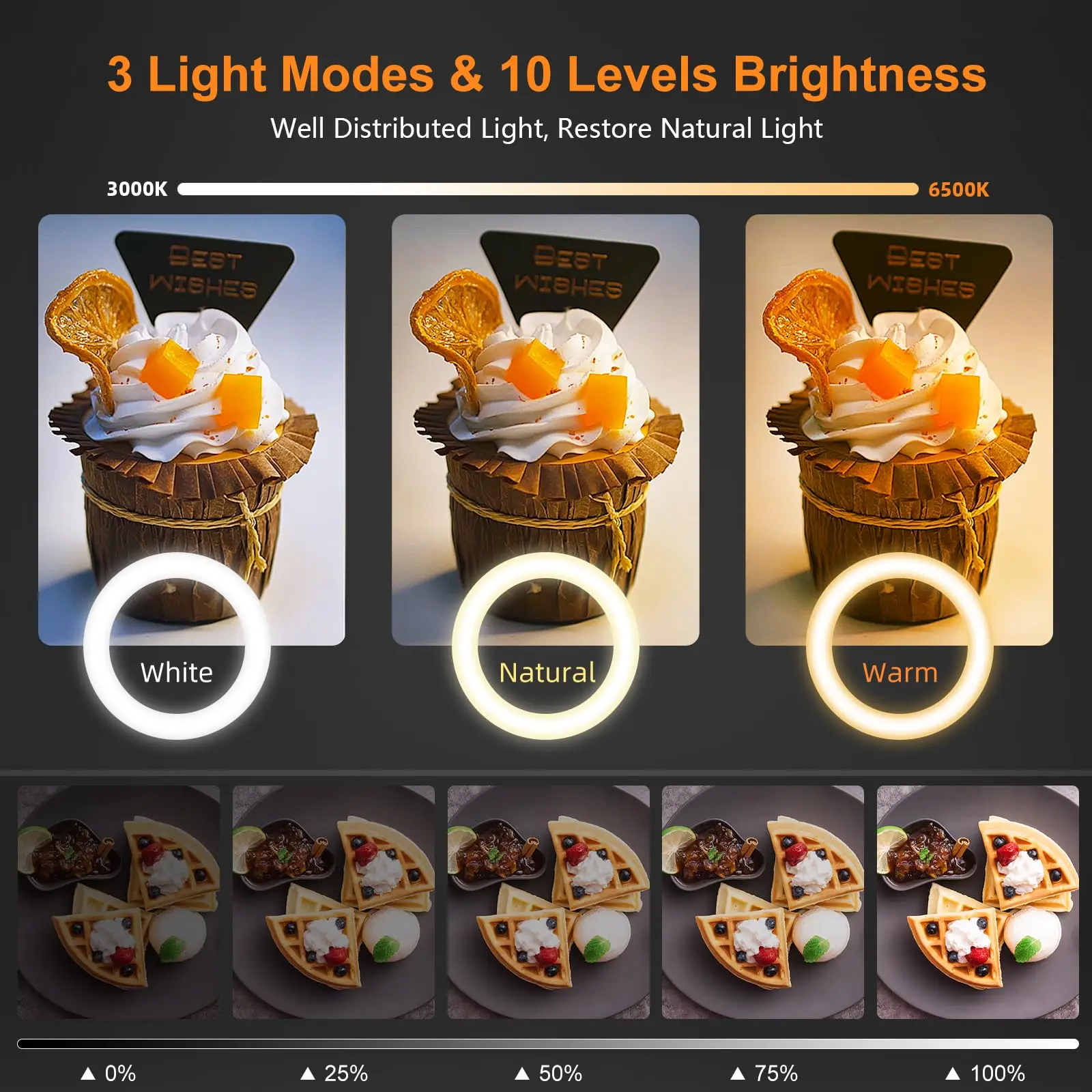 Nice Overhead Tripod With Ring - Photography Lighting Professional recensione e prezzo